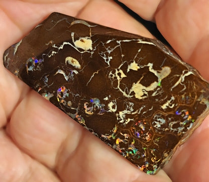 54085.0 - Highly Polished Australian Queensland Boulder Opal Specimen, Ornament or recut into tiger claw or parallelogram shape 93.76 carats