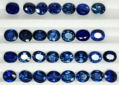 54106.0 - 3.7 x 3.2 mm Oval Cut Australian Mixed Blue Sapphire From Deep Royal Blue to Light Blue/Green and Teal Wholesale quantity & prices