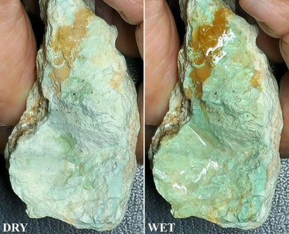 541101.0 - Australian Natural Turquoise (TurqOZ) One rough piece of quite rare non-treated rough weighting about 63 grams or 315 carats