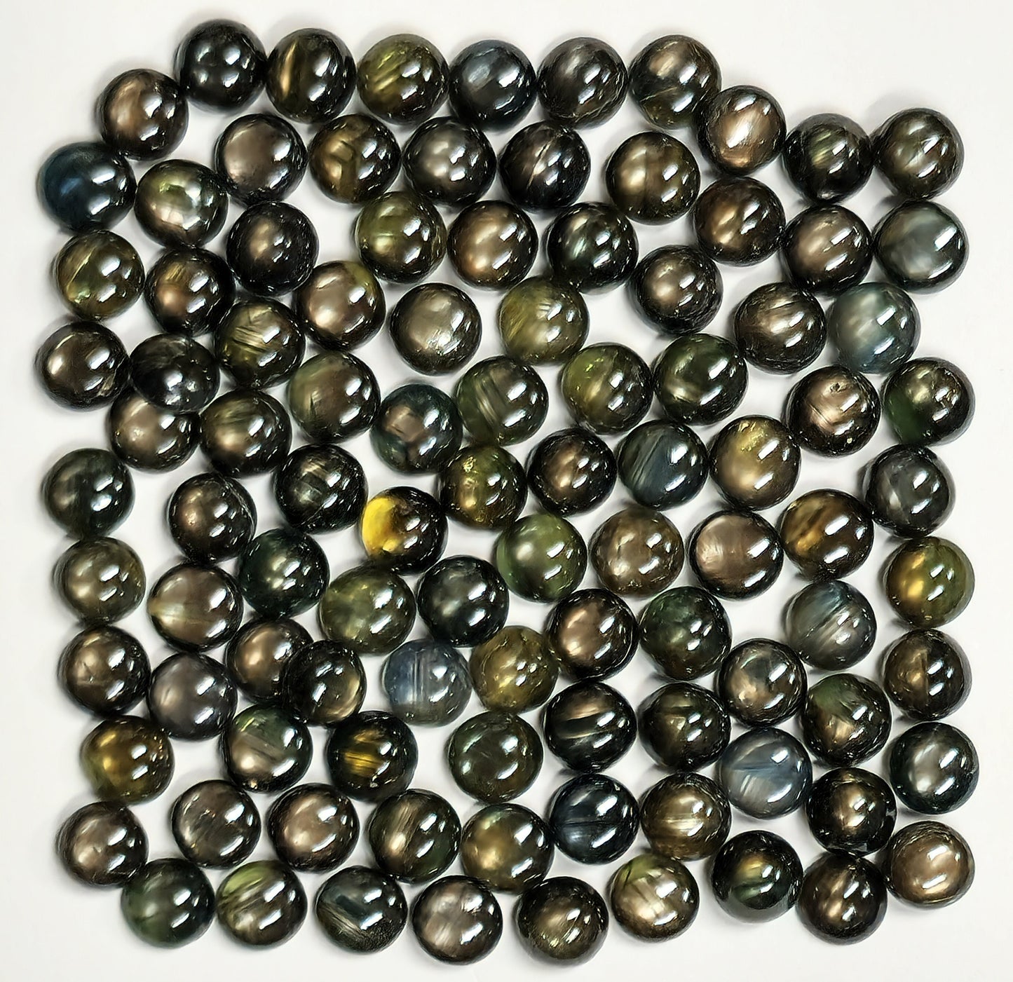 54146.0 - Omtrent 6 mm rundkuttet australske stjerne eller blanke safirer i BLANDE farger inkludert gråaktig, gulaktig, brunaktig og svartaktig.