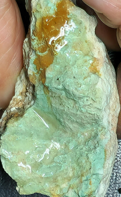 541101.0 - Australian Natural Turquoise (TurqOZ) One rough piece of quite rare non-treated rough weighting about 63 grams or 315 carats