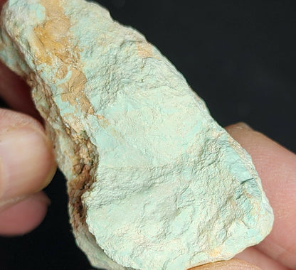 541101.0 - Australian Natural Turquoise (TurqOZ) One rough piece of quite rare non-treated rough weighting about 63 grams or 315 carats