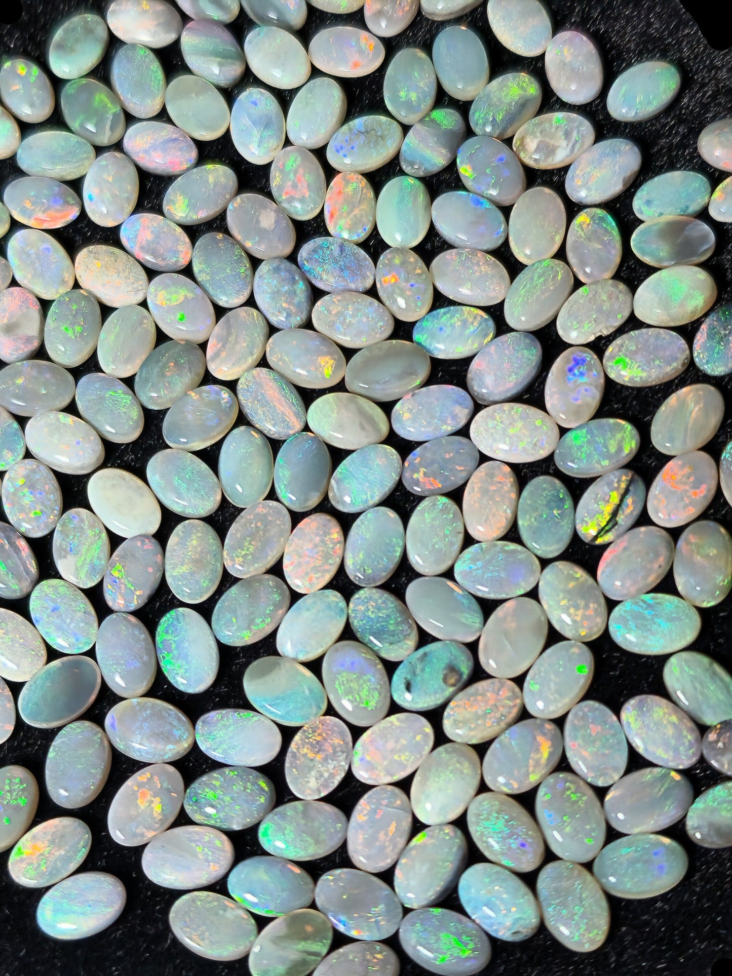 54067.0 - 6x4 mm Oval Cabochon Cut Natural Australian Solid Opal Whole parcel of 180 pieces weighing 49.53 carats or smaller lots for sale