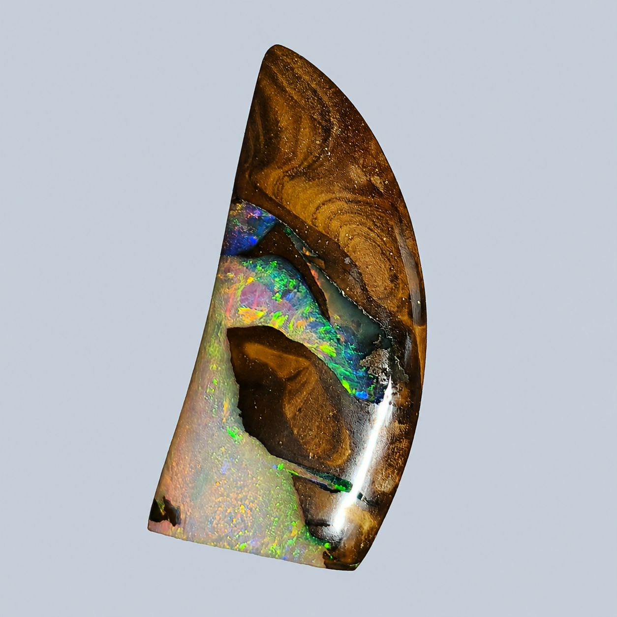 54463. Double Sided Boulder Opal: Tiger Claw Shape, 16 carats