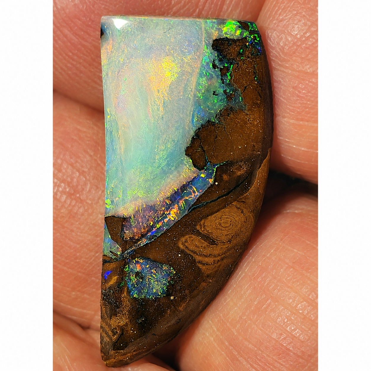54463. Double Sided Boulder Opal: Tiger Claw Shape, 16 carats