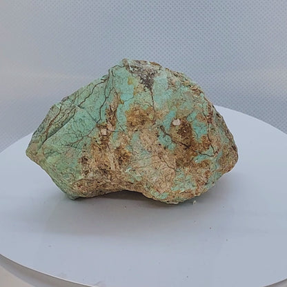 54118.0 - Very Rare Natural Turquoise from Central Australia 922 carat 184 grams