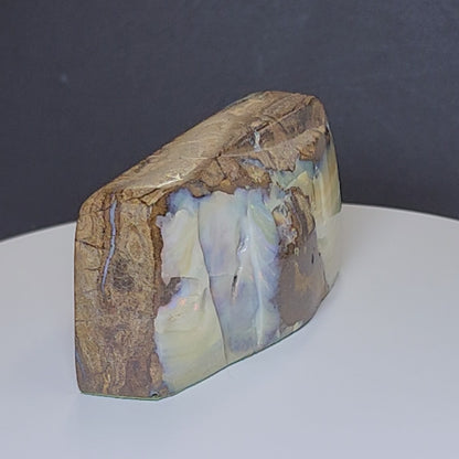 54134.0 - Boulder Opal Specimen Highly polished all over Use as a mantle ornament Great gift for an Executive's Office desk and paper weight