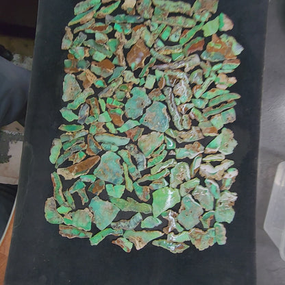 54087.0 - Australian Sliced Chrysoprase 3 to 5 mm thick, from 20 to 100 mm long, Ready to be shaped, 4 to 20 grams each, slightly tumbled