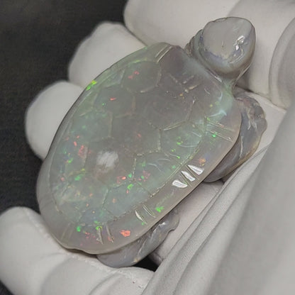 04083.0 - Australian solid grey Opal turtle carving Potential to recut for more colour 229.79 carats colourful ornament 60 x 45 mm