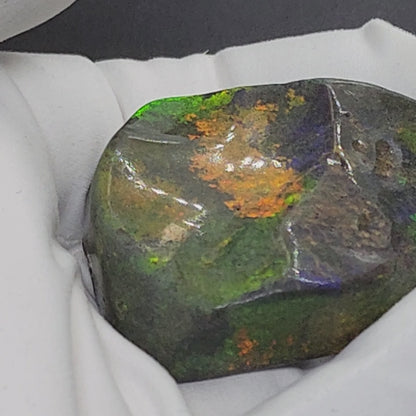 53912.0 - Andamooka Treated Opal Matrix Specimen Huge colour patterns 186.97 carats 50 x 40 x 18 mm Common in the 1960's but a rarity today